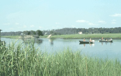Recreational fishing in the ACE Basin