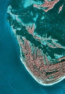 Aerial view of Otter Island - Southwest