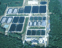 Waddell Mariculture Center