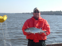 Image of biologist with shad