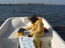 Image of biologist preparing to record data