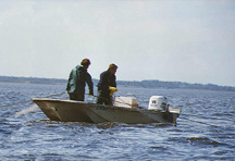 Image of commercial shad fishermen pulling net