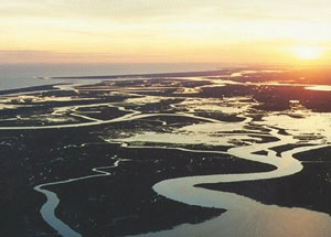 Edisto River