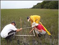 Long Term Monitoring Sites