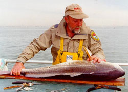 Measuring Red Drum Fish