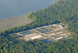 Aerial Photo of Waddell Mariculture Center