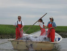 Boat Sampling Fish