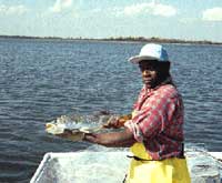 Trout being displayed by DNR Employee