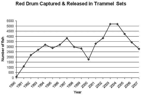 Graph of Red drum captured and released in trammel sets