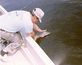 Catch and Releasing fish