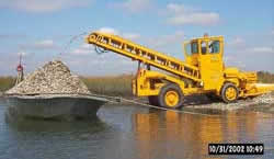 Planting oyster shells