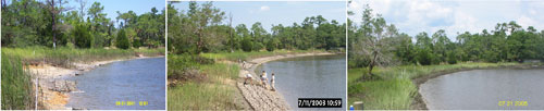 Marsh regrowth at an oyster restoration site in SC