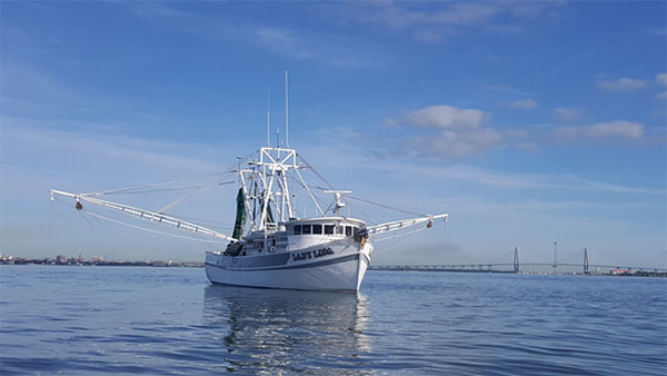 R/V Lady Lisa