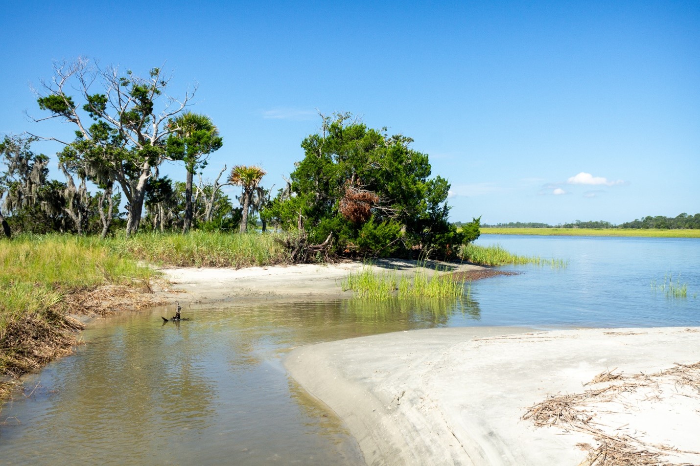 The lab, administration building, and boat slip of Fort Johnson from above