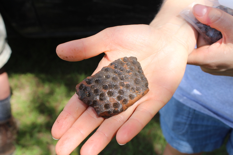 The Field Station, pavillion and dock from above