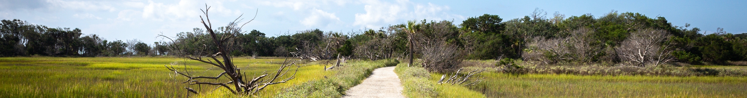 The walkway to the beach at Botany Bay Plantation surrounded by marsh