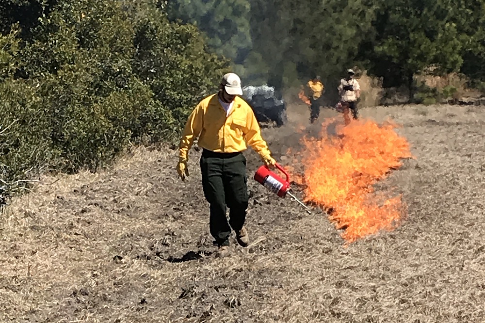 SCDNR conducting a controlled burn on South Fenwick Island