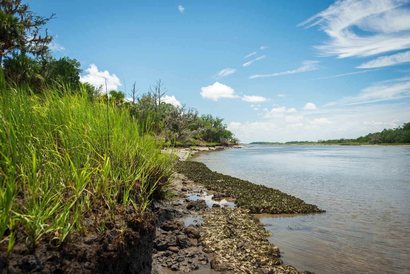 A preview of the living shorelines training documents