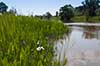 Great Pee Dee River - photograph by Joey Frazier