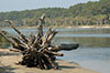 Map Number 1-A4, Hunting Island State Park - Photograph by Phillip Jones