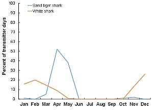 Days of Detection for Prohibited Take Sharks