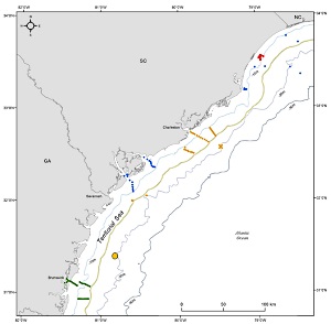 The South Carolina and Georgia Departments of Natural Resources maintain an extensive a network of acoustic receivers in coastal waters across their respective states.