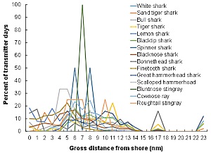 Distance from Shore for Sharks