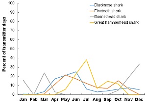 Distance from Shore for Small Coastal and Hammerhead Sharks