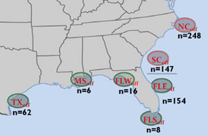 Figure 1. Population genetics of cobia in the South Atlantic and Gulf of Mexico. Similar colors indicate homogeneity.