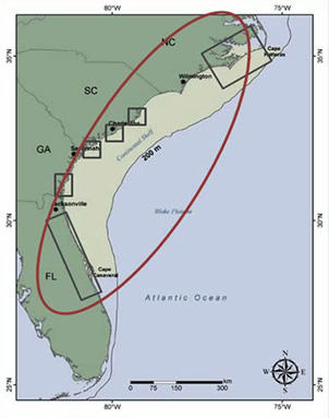 Figure 2. Mixed adult red drum populations during the months of November – June along the southeast US coast.  Boxes indicate sampling locales. 