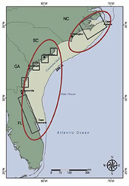 Figure 3. Genetic structure during the spawning months from July to October. Boxes indicate sampling locales.