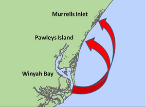 Figure 1. Movement of 2007 and 2008 year class red drum from Winyah Bay to Pawleys Island and Murrells Inlet.