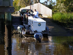 Figure 1. Stocking striped bass in the Ashley River