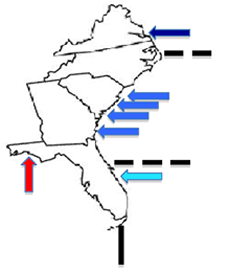 Figure 2. Mixed adult red drum populations during the months of November – June along the southeast US coast.  Boxes indicate sampling locales. 