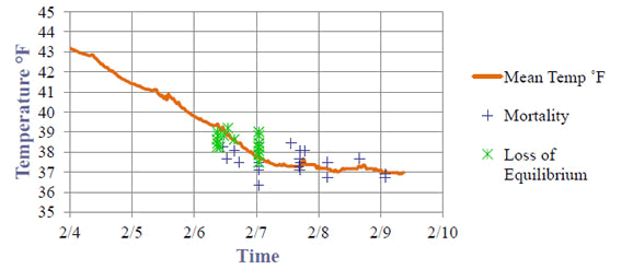 Figure 4. Average water temperature of experimental tanks, with the time and temperature at which loss of equilibrium and mortality occurred.