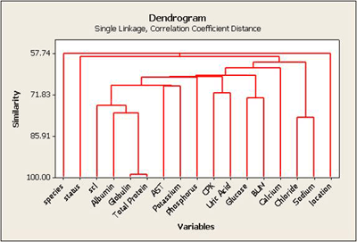 Dendrogram