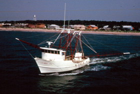 Shrimp Boat