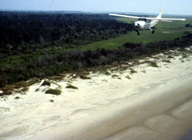 Aerial Nesting Survey