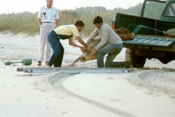 Tagging Loggerhead