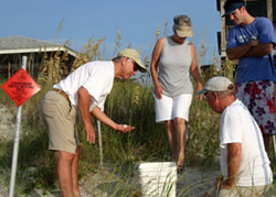 Sea Turtle Volunteers