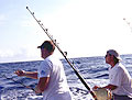 Fishing Off shore