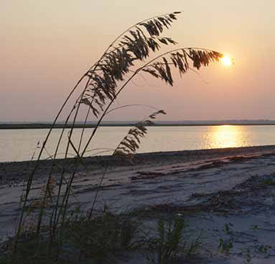 Beach Sunset