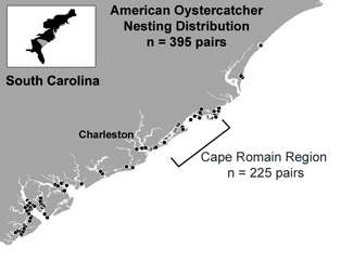 South Carolina nesting distribution 