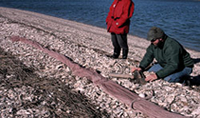 SCDNR biologist setting up cannon net.