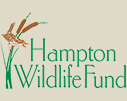 Harry Hampton Logo