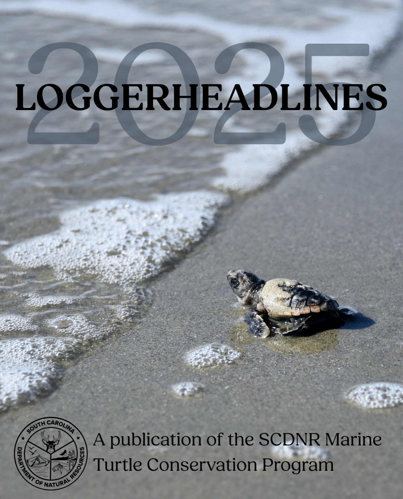 Loggerheadlines
