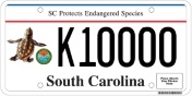 Endangered Species Plate (loggerhead sea turtle)