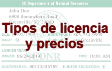 Tipos de licencia y precios