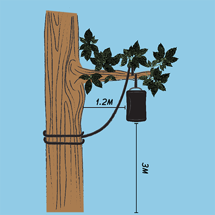 Diagram of hanging a bag over a tree branch