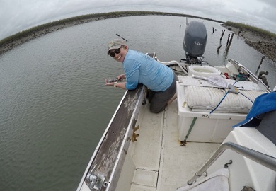 Aprobado para baba de pescado: Vinagre, agua y un cepillo de mango largo son limpiadores eficaces para la cubierta de una embarcación después de un día de pesca. (Foto: E. Weeks/SCDNR)